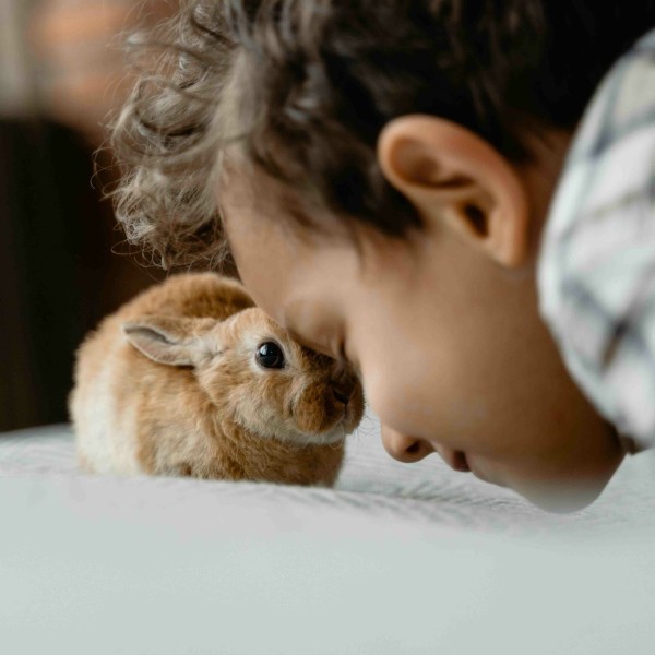 ENFANT-pexels-tima-miroshnichenko-6845798-3