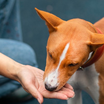 Humaniser-shutterstock_1793463826-square